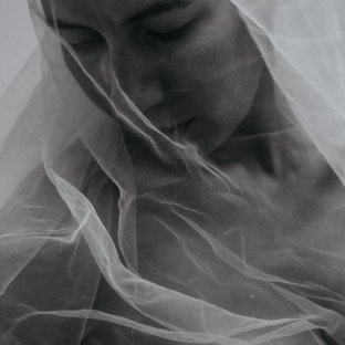 Дзен Ландыш статистика