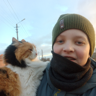 Статистика Дзен Котики вели