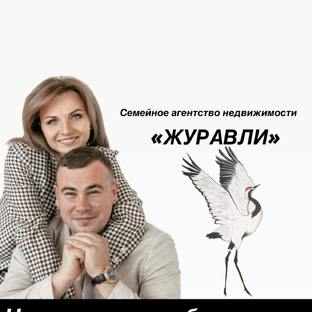 Статистика Дзен "ЖУРАВЛИ" семейное агентство недвижимости