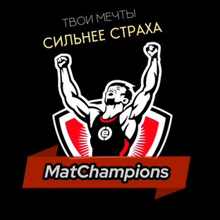 Статистика Дзен MatChampions