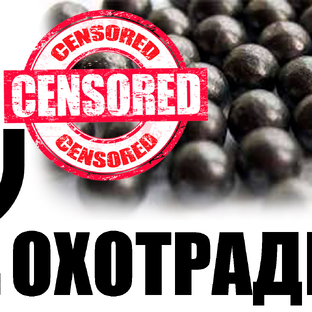 Статистика Дзен ОХОТРАДИО
