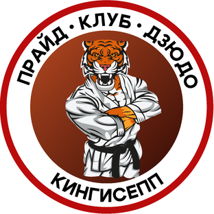 Статистика Дзен КЛУБ ДЗЮДО ПРАЙД