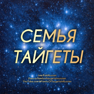 Дзен Семья с Тайгеты статистика