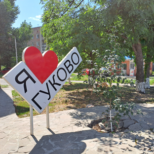 Статистика Дзен Новости Гуково