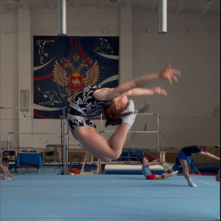 Статистика Дзен Anna Champion