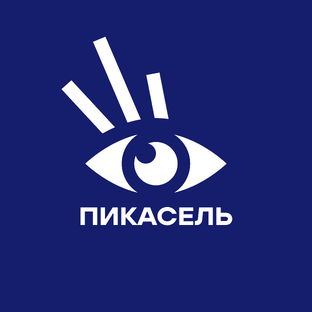 Статистика Дзен Picasel Agency 