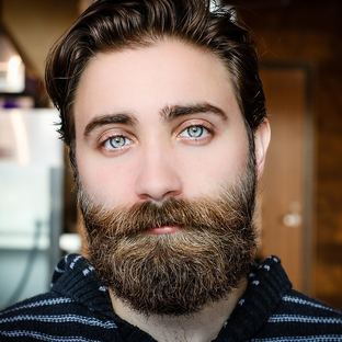 Статистика Дзен beard