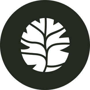 Статистика Дзен Sequoia Service