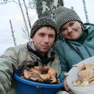 Статистика Дзен ШмелёVы Life