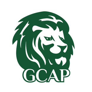 Статистика Дзен GCAP