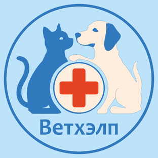 Статистика Дзен Ветклиника Ветхэлп