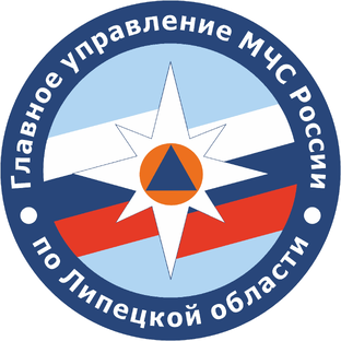 Статистика Дзен ГУ МЧС России по Липецкой области