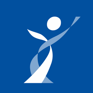 Статистика Дзен Genetico