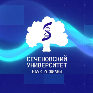 Статистика Дзен Сеченовский университет