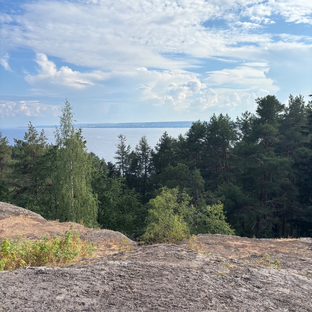 Дзен Глаз статистика