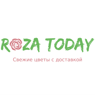 Статистика Дзен RozaToday