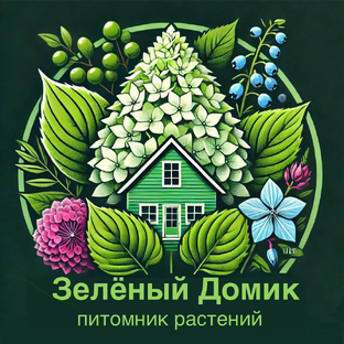 Статистика Дзен Зелёный Домик