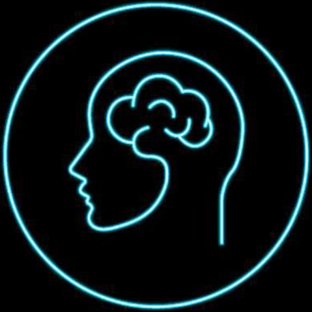 Статистика Дзен Академия Биодинамики