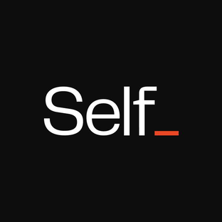 Статистика Дзен Self_team