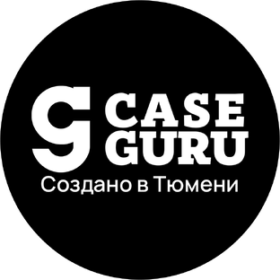 Статистика Дзен CaseGuru