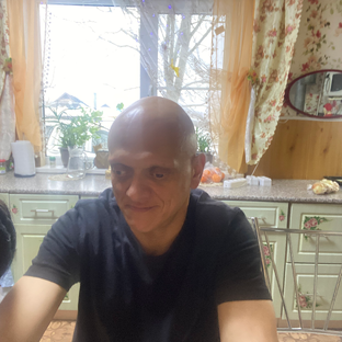 Статистика Дзен Пасечник ©️Сомов