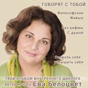Статистика Дзен Ева Белоцвет