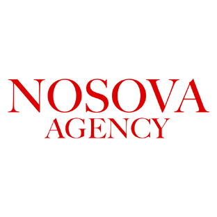 Статистика Дзен Nosova Agency