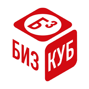 Статистика Дзен БизКуб