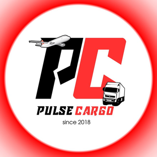 Статистика Дзен Pulse Cargo
