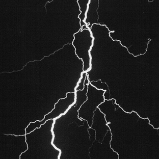 Дзен macronews статистика