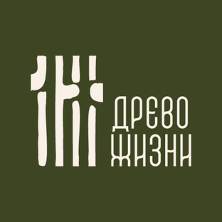 Статистика Дзен АНО "Древо Жизни"