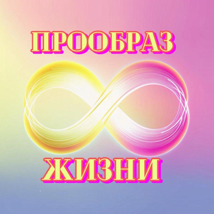 Статистика Дзен Школа Прообраз Жизни 