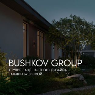Статистика Дзен BUSHKOV GROUP