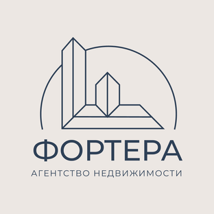 Статистика Дзен ФОРТЕРА