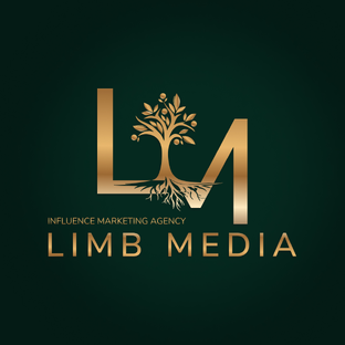 Статистика Дзен Limbmedia
