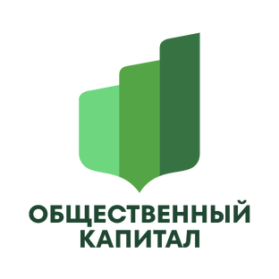 Статистика Дзен Общественный капитал