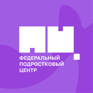 Статистика Дзен Федеральный подростковый центр