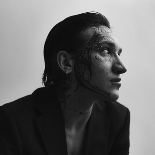 Дзен Даня Рей статистика