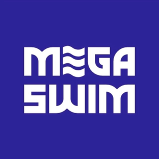 Статистика Дзен MEGASWIM