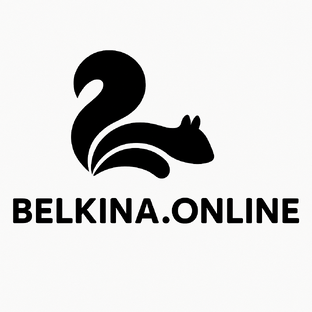 Статистика Дзен Любовь Белкина