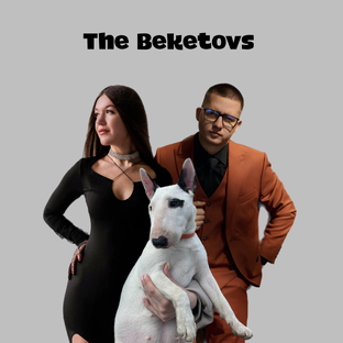 Статистика Дзен The Beketovs