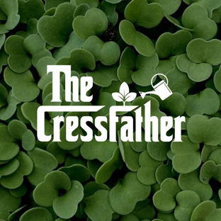 Статистика Дзен CressFather