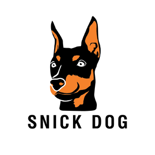 Статистика Дзен Дрессировка собак Екатеринбург SNICK DOG