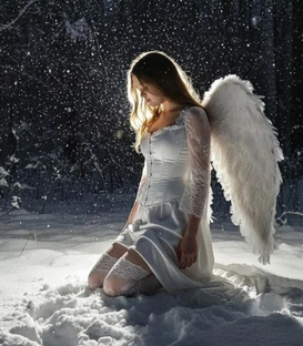 Статистика Дзен 🥰Тигрица МЯУ