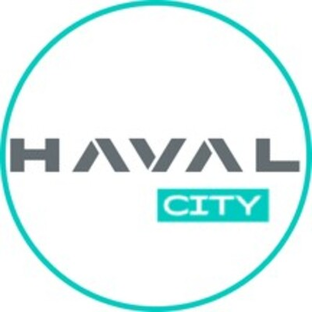 Статистика Дзен HAVAL CITY СИБИНПЭКС