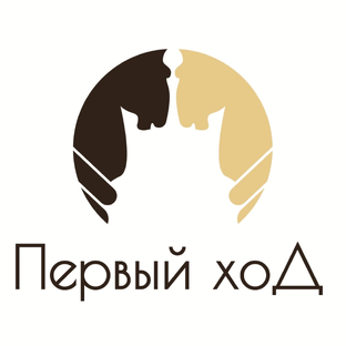 Статистика Дзен ЧАСЫ на заказ. В подарок, в офис, для интерьера.