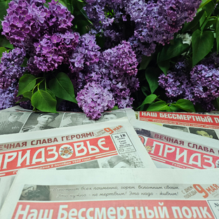 Статистика Дзен Герои Приазовья: «Наш Бессмертный полк»