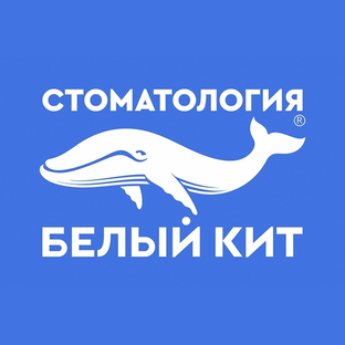 Статистика Дзен Белый кит | сеть стоматологических клиник