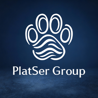 Статистика Дзен PlatSer Group