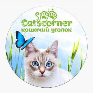 Статистика Дзен Cat'scorner Кошачий уголок